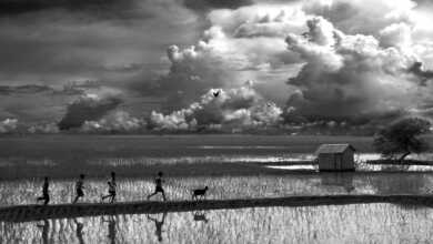 İFOD 5. Uluslararası Fotoğraf Yarışması 10 3698 385 tfsf 9laVF