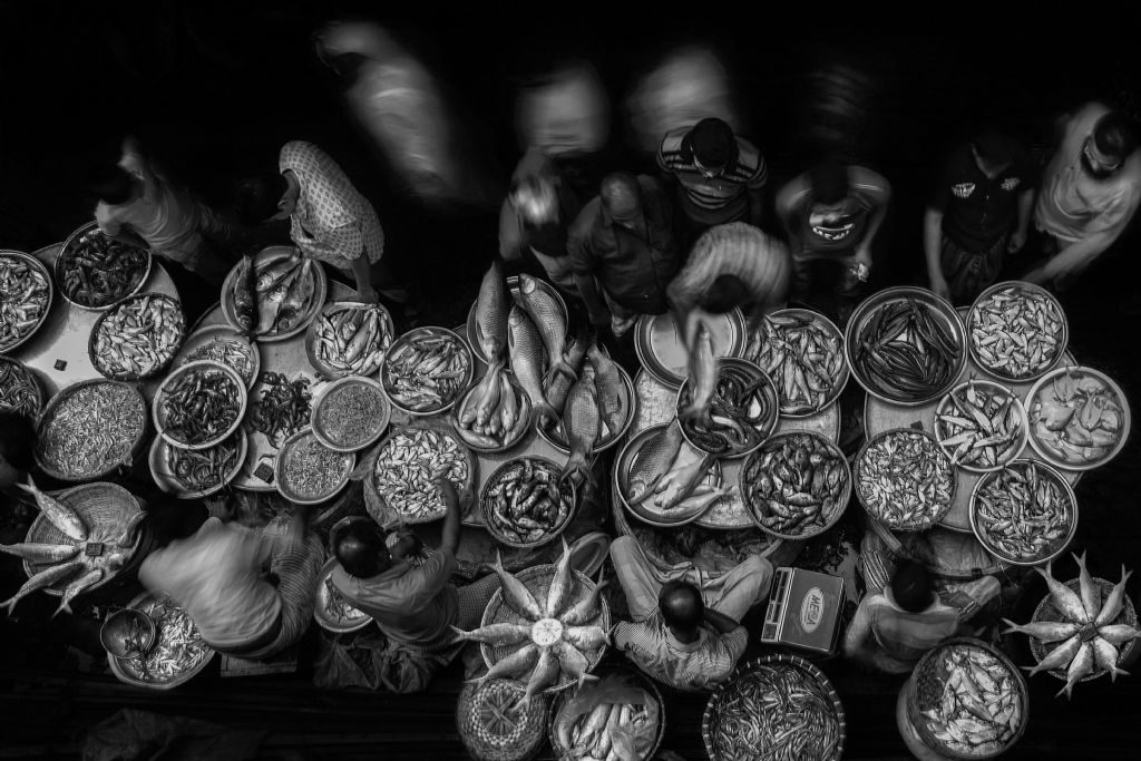 İFOD 5. Uluslararası Fotoğraf Yarışması 3 77534 385 tfsf 4RPjk
