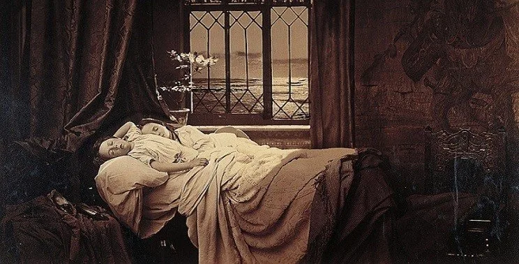 Fotoğrafın İki Yolu kapak jpg