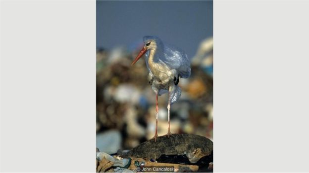 2018’e damga vuran 12 fotoğraf ve çağrıştırdıkları sanat eserleri 12 plastik leylek