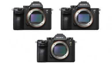 Sony a9, a7R III ve a7 III Güncelleme 12 sony a7 iii vs a9 vs a7r iii 696x489