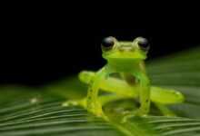 2018 Panasonic Fotoğraf Yarışması'nda ödüle layık görülen fotoğraflar 3 1037463648