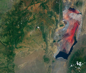 1037905160