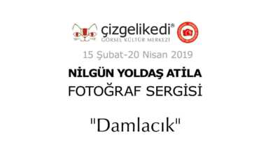 51072990 10156880240982999 8966206111183011840 o