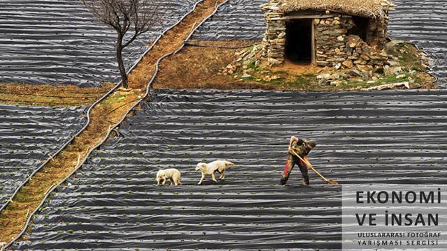 Merkez Bankası, Ekonomi ve Zanaat Fotoğraf Sergisi 1 640x360 2a6f24b8 9d7c 4b05 b783 2b95f93db016