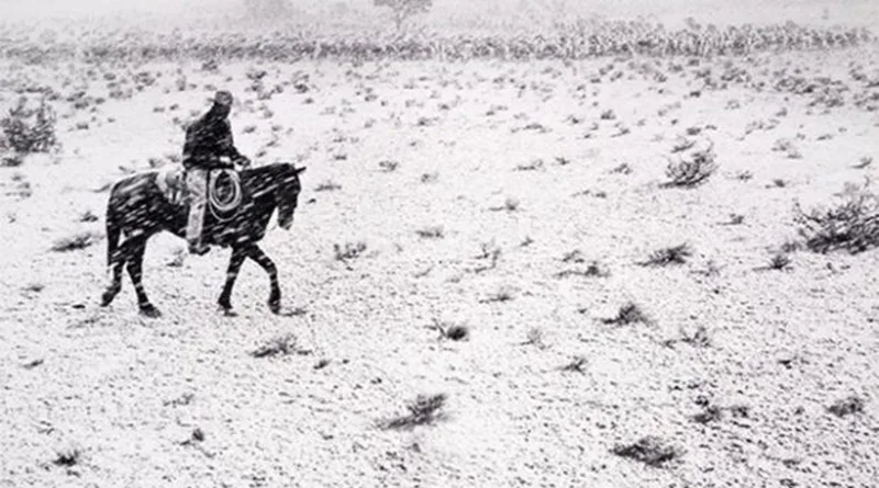 7040 large 620x400 jpg