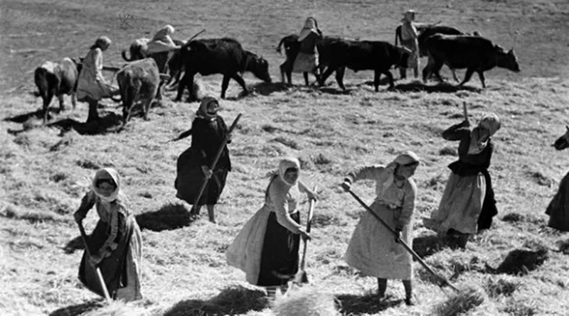 Boris Ignatovitch header jpg