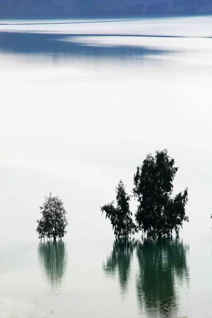 Fotoğrafta Negatif ve Pozitif Alan 6 IMG 5845d