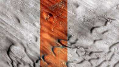 Refik Anadolla NASA İşbirliği 702x459