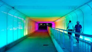 ali bilge akkaya header