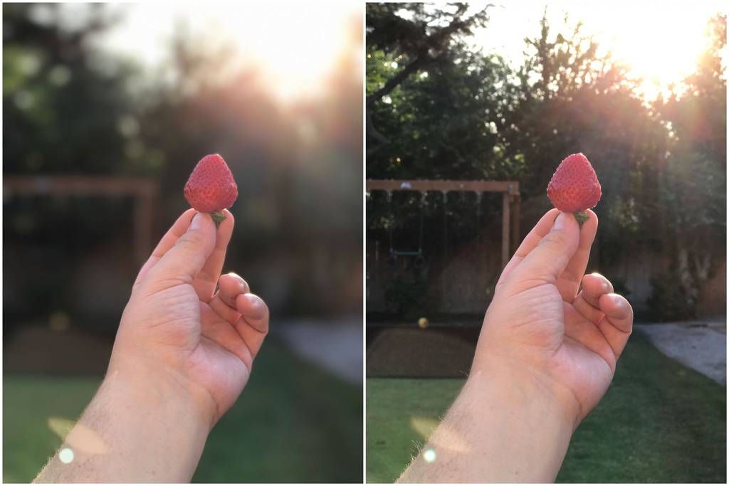 Yaygın Fotoğraf Hatalarını Nasıl Düzeltirsiniz? 5 berry