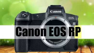 canon eos rp video1