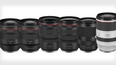 canonrflensesfeattt 800x420
