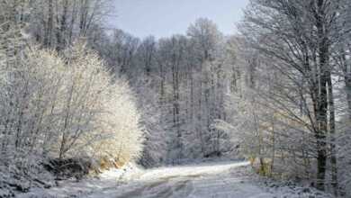 Kar Fotoğrafı Nasıl Çekilir? 6 kar fotoğrafı nasıl çekilir header