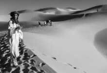 ozkan samioglu sergi header