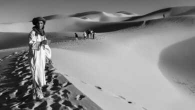 ozkan samioglu sergi header