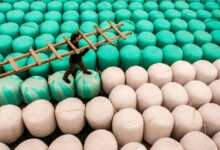 tarım ve risk header