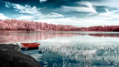 yann philippe header