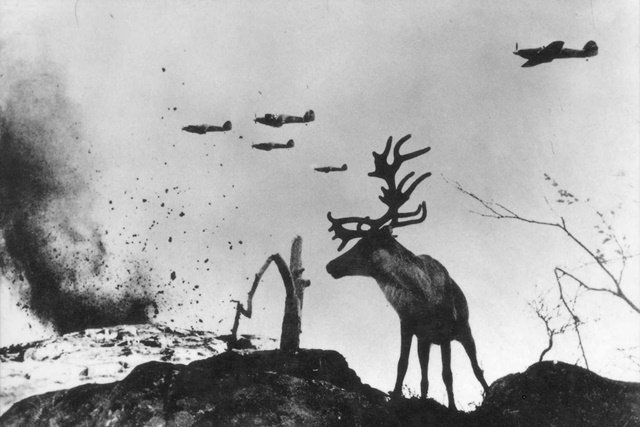 Tarihsel Gerçeklikte Fotoğraf Bir Manipüledir: Yengeny Khaldei 3 yevgeny khaldei reindeer