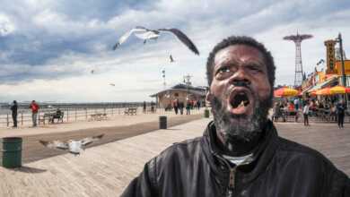 3 Donato DiCamillo header