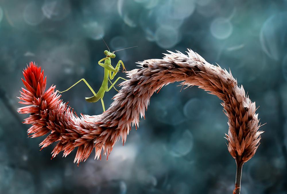 35AWARDS Fotoğraf Yarışması 2017 28 35awards 2017 27