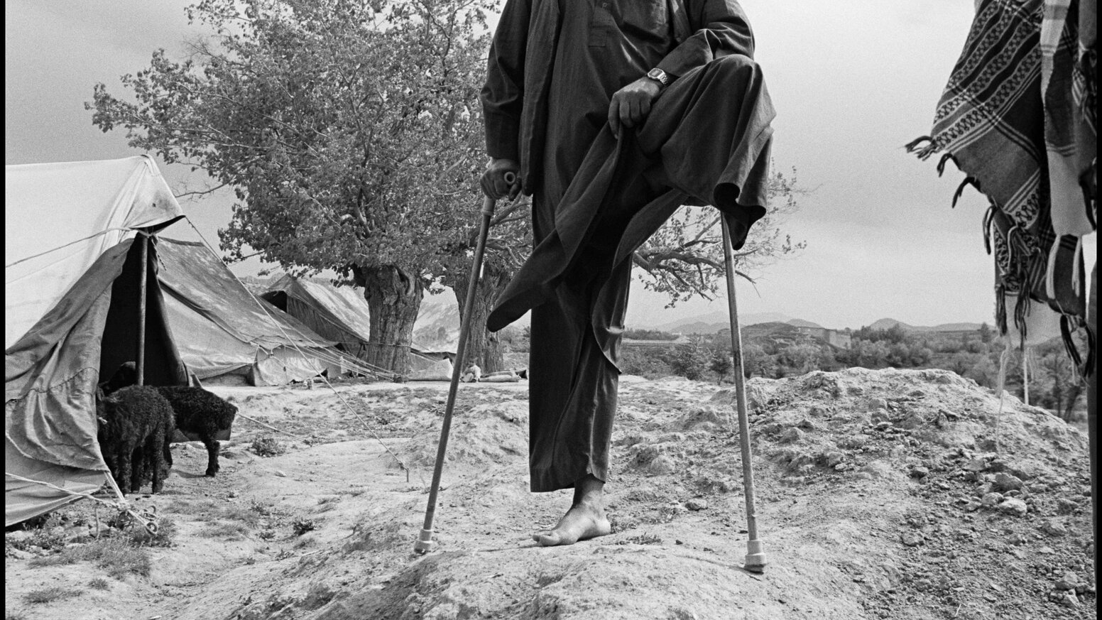 Larry Towell : Vizörden Kaleme 14 73b7bb024db99cd78bf440678188089f original