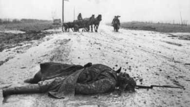 Dmitri Baltermants header