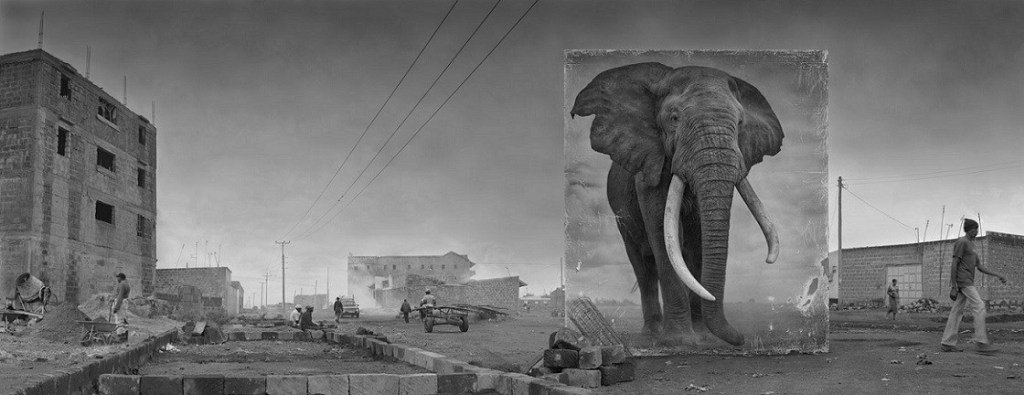 Tozlu Miras : Nick Brandt 11 Nick Brandt Tozlu Miras 12