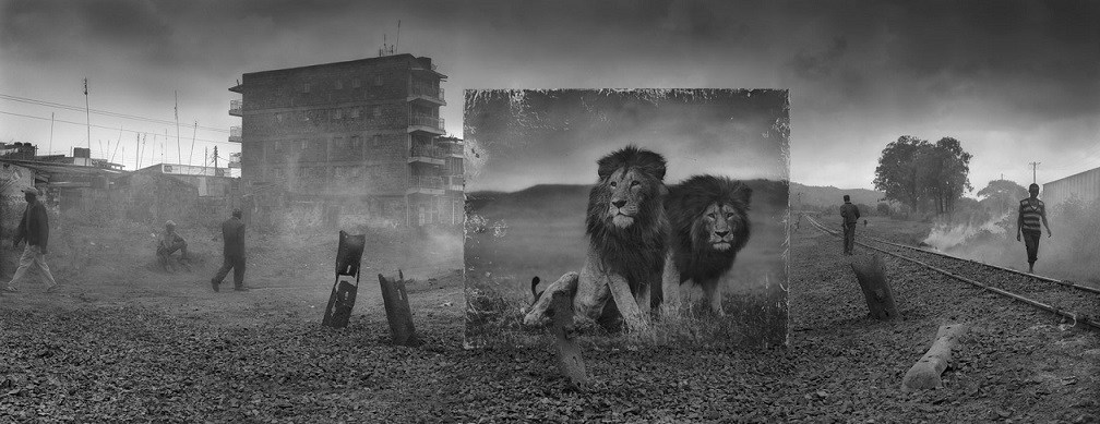 Tozlu Miras : Nick Brandt 3 Nick Brandt Tozlu Miras 2