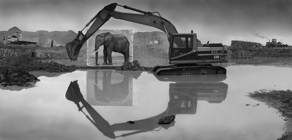 Tozlu Miras : Nick Brandt 19 Nick Brandt Tozlu Miras 20