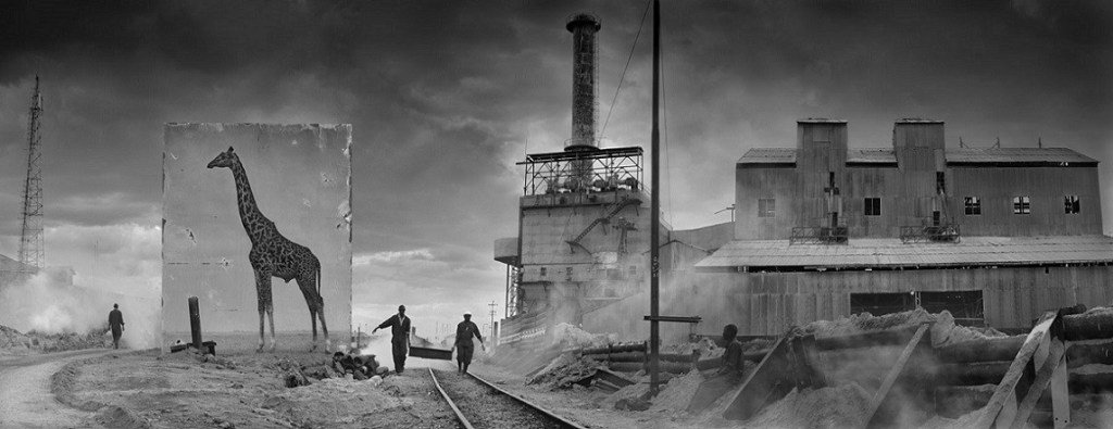 Tozlu Miras : Nick Brandt 21 Nick Brandt Tozlu Miras 22