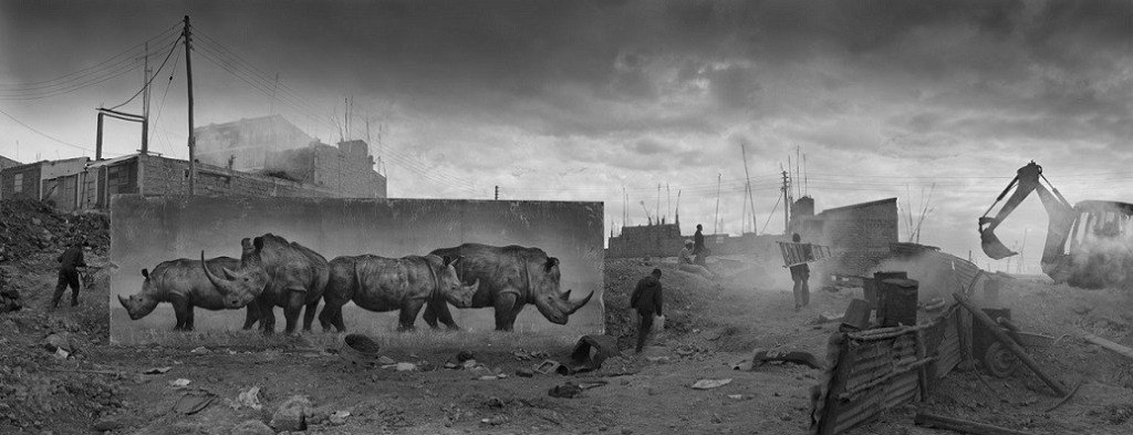 Tozlu Miras : Nick Brandt 7 Nick Brandt Tozlu Miras 6