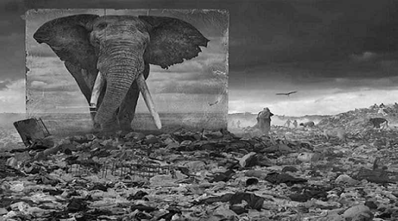 Nick Brandt Tozlu Miras Kapak 1