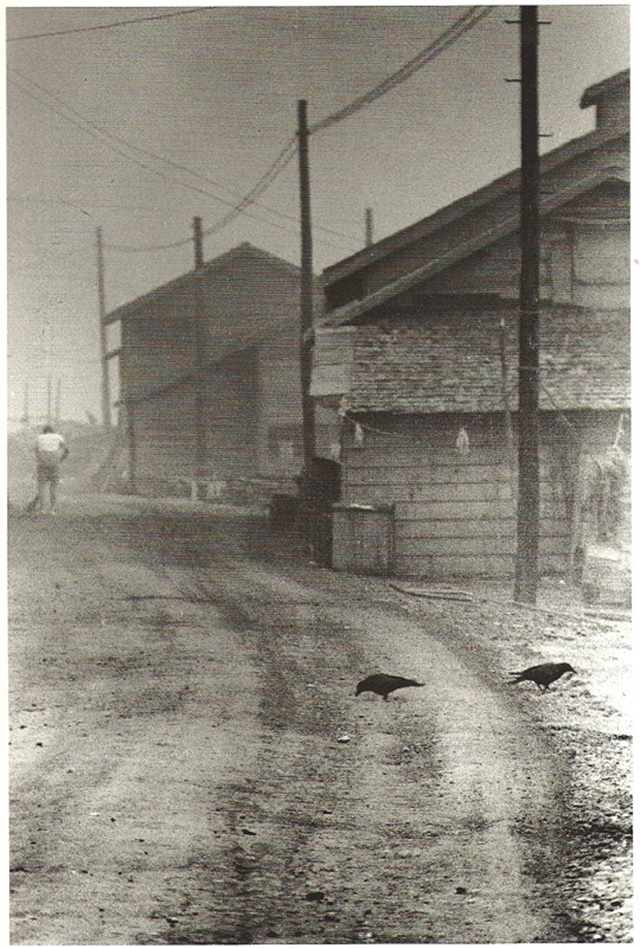 Zorlu Koşullar Altında Fotoğraf : Ichiro Kojima 8 Picture15
