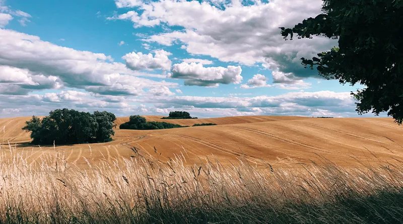 "Shot on iPhone Challenge" 2019 1 apple iphone header jpg