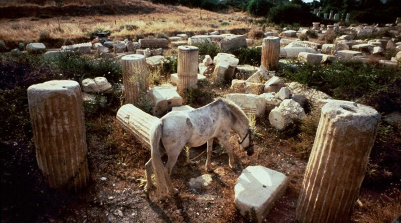 Ara Güler Müzesi’nde yeni bir sergi: Aphrodisias 1 ara guler muzesi aphrodisias header