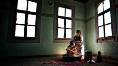 fiap renkli bienali header