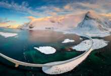 pawel uchorczak header