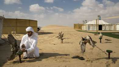 2019 world press photo header