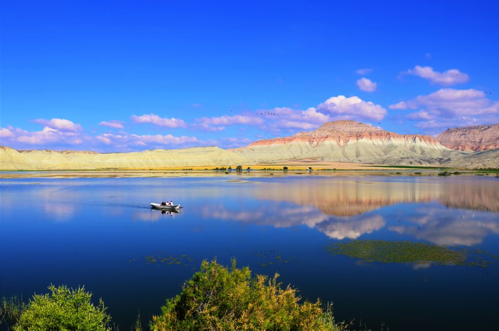 ''Gülümse Ankara Çekiyorum'' Fotoğraf Yarışması 2019 20 274 391 tfsf puZN9