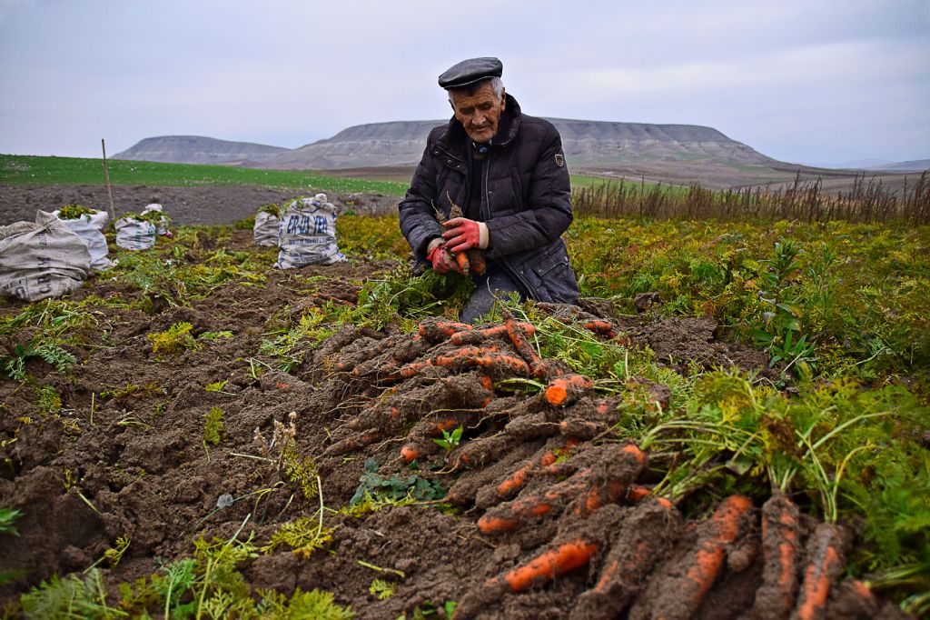 ''Gülümse Ankara Çekiyorum'' Fotoğraf Yarışması 2019 13 61795 391 tfsf KevVu