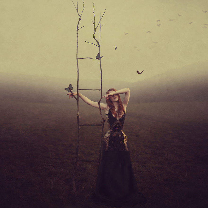 Stephanie Pearl : Dark Wonderland 7 Dark Wonderland Photography by Featured PurplePort Photographer Stephanie Pearl 5cacaabbaea42 880