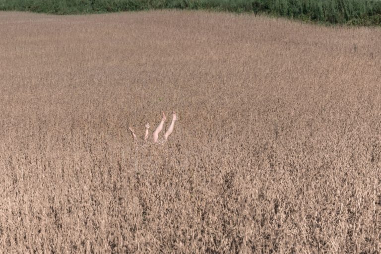 Brooke DiDonato : As Usual 6 k 1