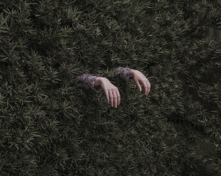 Brooke DiDonato : As Usual 7 l 1