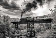 Life in Another Light 2019 9 life in another light header