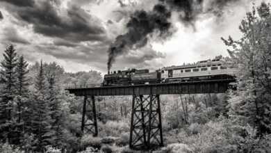 life in another light header