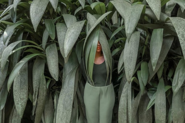 Brooke DiDonato : As Usual 8 n