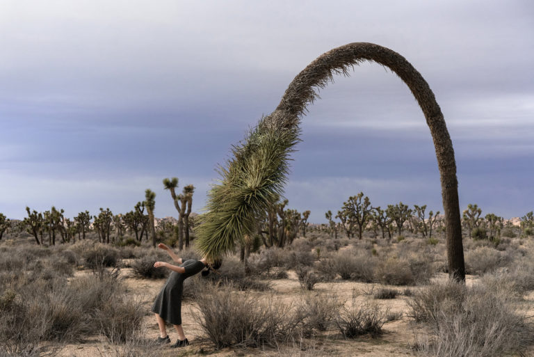 Brooke DiDonato : As Usual 9 o