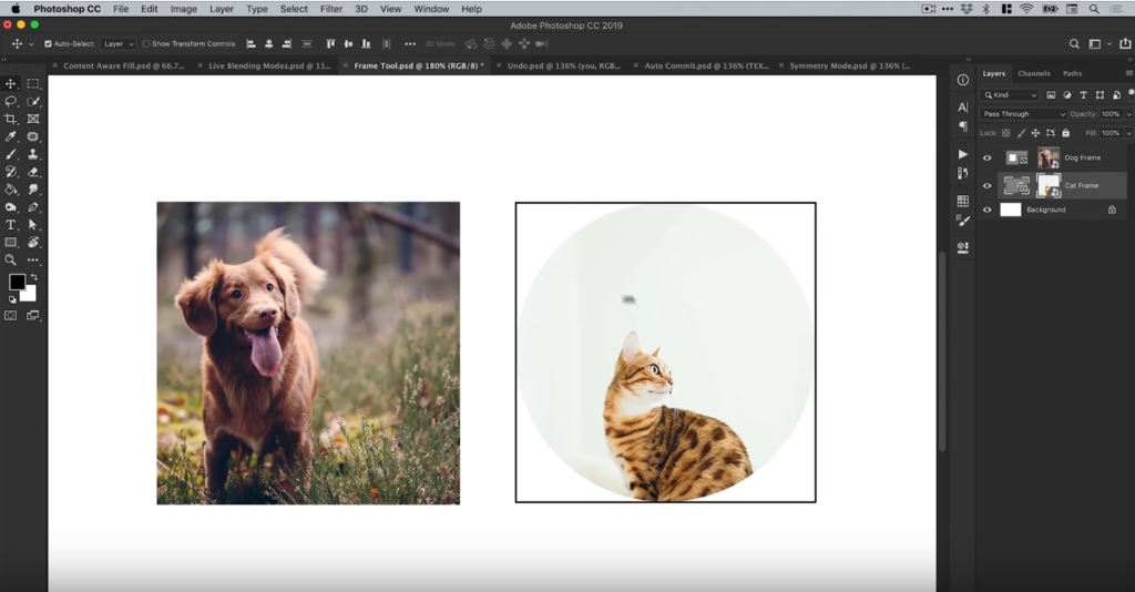 photoshop 2019 inceleme 02