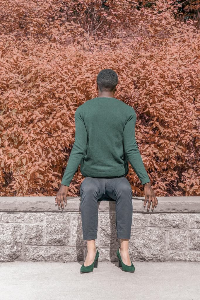 Brooke DiDonato : As Usual 4 ş 1
